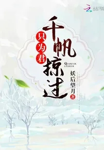 《千帆掠过只为君》小说封面