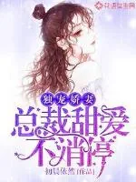 《独宠娇妻：总裁甜爱不消停》小说封面