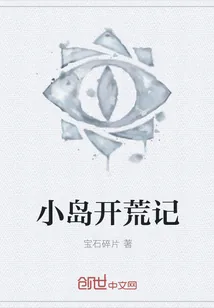 《小岛开荒记》小说封面