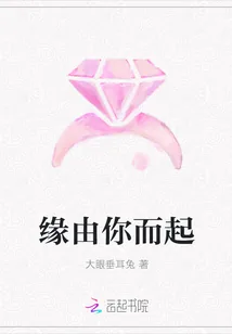 《缘由你而起》小说封面
