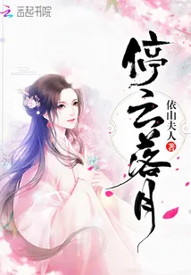 《停云落月》小说封面