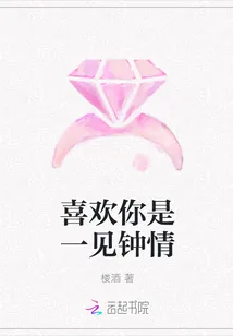 《喜欢你是一见钟情》小说封面