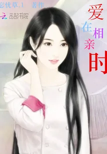 《爱在相亲时》小说封面