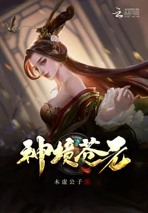 《神境苍元》小说封面
