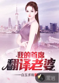 《我的首席翻译老婆》小说封面