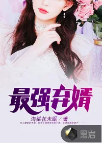 《最强弃婿》小说封面