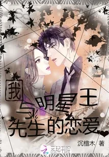 《我与明星王先生的恋爱》小说封面