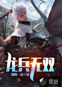 《龙兵无双》小说封面