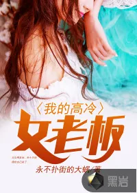 《我的高冷女老板》小说封面
