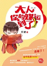 《大人，你的媒运到了！》小说封面