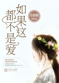 《如果这都不是爱》小说封面