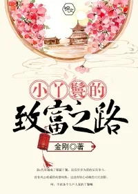 《小丫鬟的致富之路》小说封面
