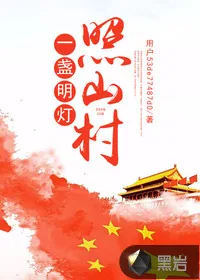 《一盏明灯照山村》小说封面