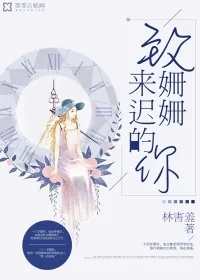 《致姗姗来迟的你》小说封面