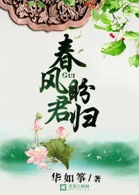 《春风盼君归》小说封面