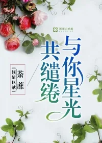 《与你星光共缱绻》小说封面