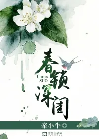 《春锁深闺》小说封面