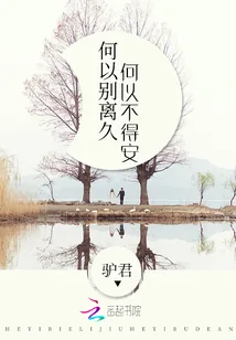 《何以别离久，何以不得安》小说封面