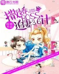 《撒娇BOSS追妻36计》小说封面