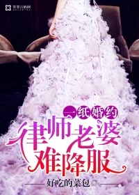 《一纸婚约：律师老婆难降服》小说封面