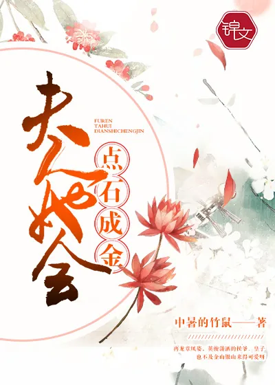 《夫人她会点石成金》小说封面