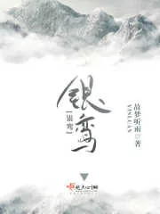 《银鸾》小说封面