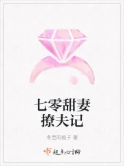《七零甜妻撩夫记》小说封面