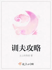 《训夫攻略》小说封面