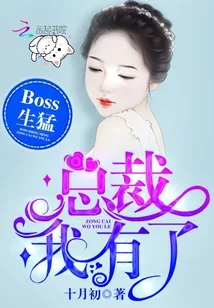 《你是我的万有引力》小说封面