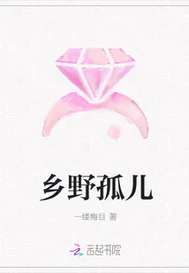 《乡野孤儿》小说封面
