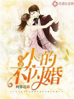 《军爷，小的不闪婚！》小说封面