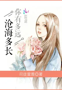 《你有多远,沧海多长》小说封面
