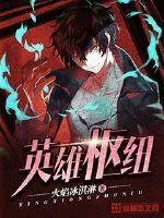 《英雄枢纽》小说封面