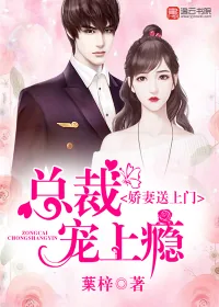 《娇妻送上门，总裁宠上瘾》小说封面