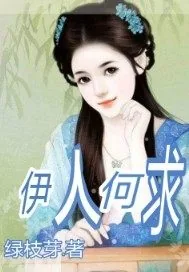 《伊人何求》小说封面