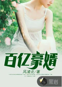 《百亿豪婿》小说封面