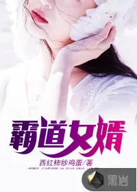 《霸道女婿》小说封面