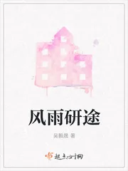 《风雨研途》小说封面