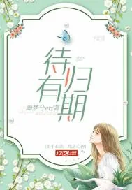 《待有归期》小说封面