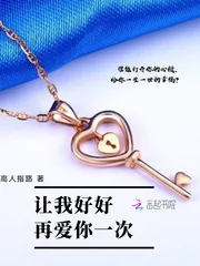《让我好好再爱你一次》小说封面