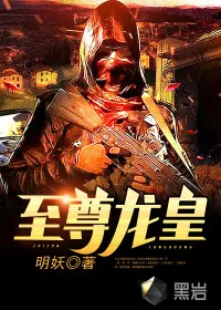 《至尊龙皇》小说封面