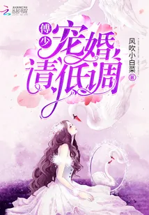 《傅少宠婚请低调》小说封面