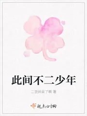《此间不二少年》小说封面
