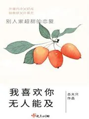《我喜欢你无人能及》小说封面