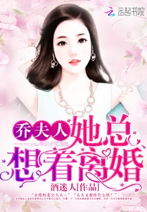 《乔夫人她总想着离婚》小说封面