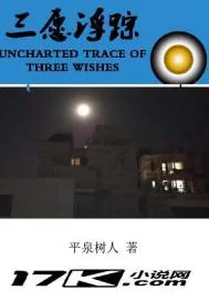 《三愿浮踪》小说封面