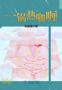 《一锅热咖喱》小说封面