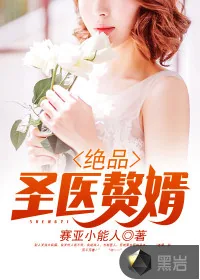 《绝品圣医赘婿》小说封面