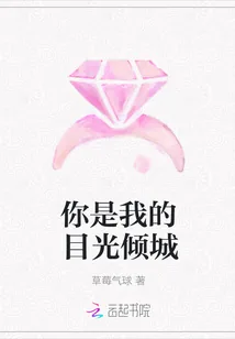 《你是我的目光倾城》小说封面