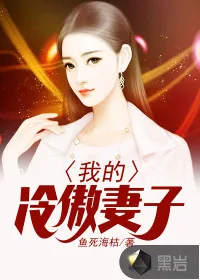 《我的冷傲妻子》小说封面